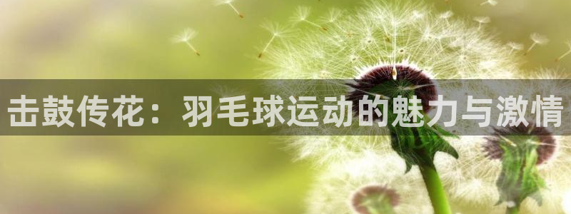 bbin视讯游戏官网：击鼓传花：羽毛球运动的魅力与激情