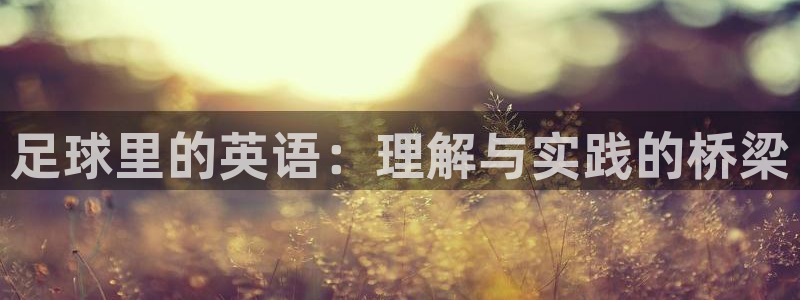 bbin视讯下：足球里的英语：理解与实践的桥梁