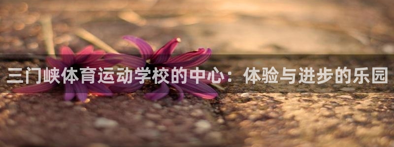 bbin视讯下：三门峡体育运动学校的中心：体验与进步的乐园